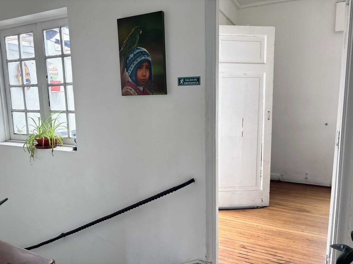 Foto 7