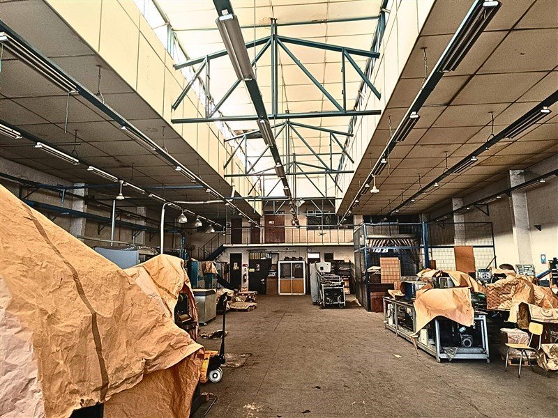 Foto 5