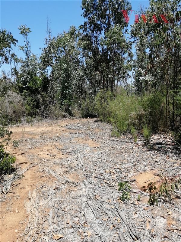 Terreno en Arriendo en Valparaíso, Terreno Industrial / Placilla / Camino La Pólvora / Alto Puerto