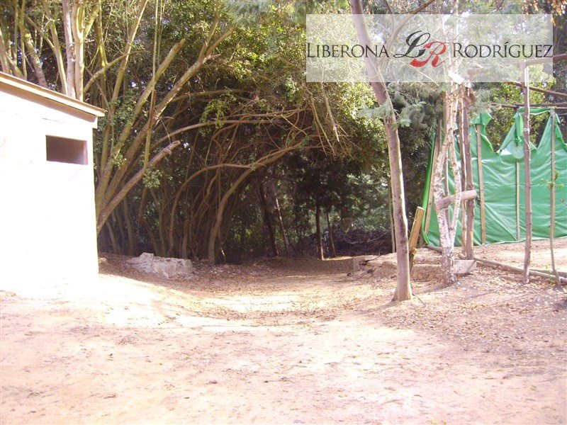 Foto 19