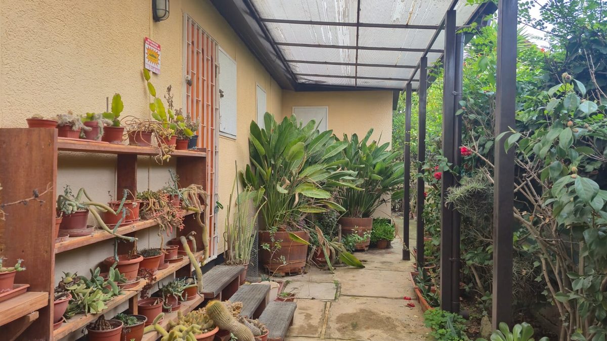 Jardin Derecho