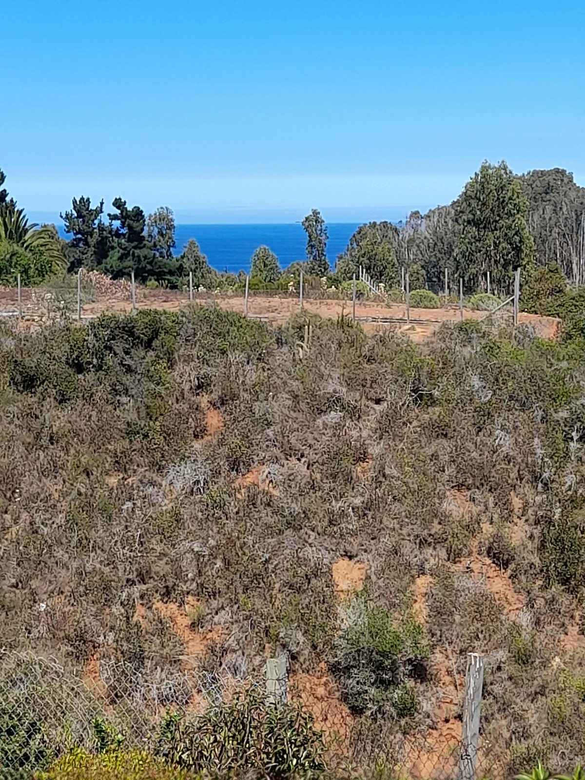 Vista al mar 