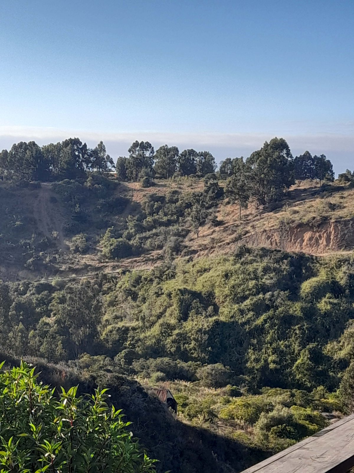 Vista a la quebrada 