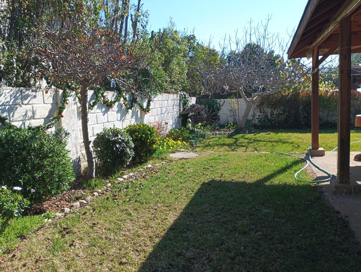 Patio Trasero