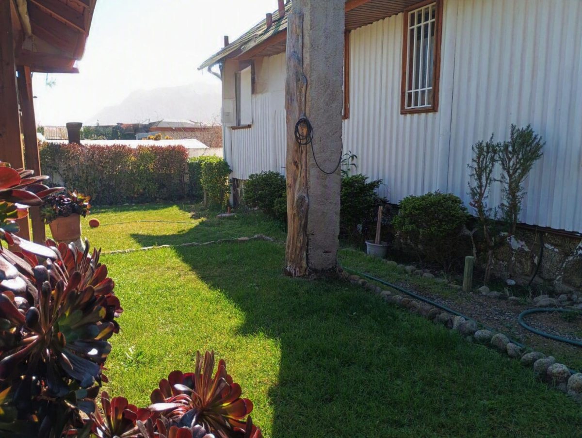 Patio Trasero
