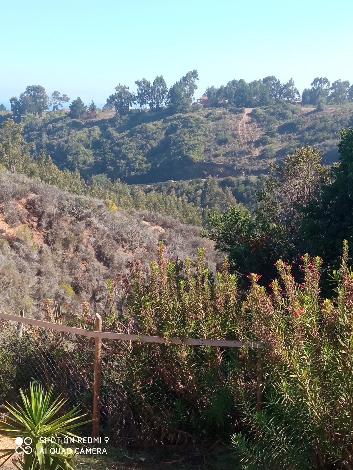 Vista a la quebrada 