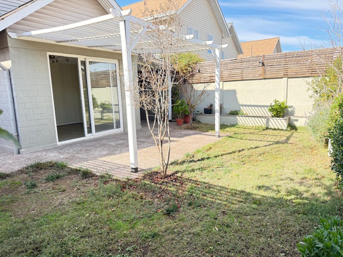 Patio trasero