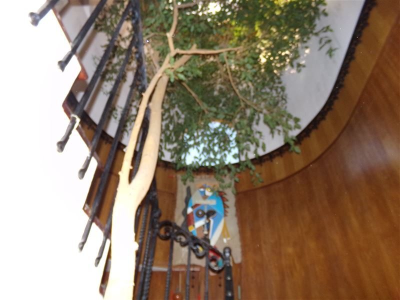 Foto 19