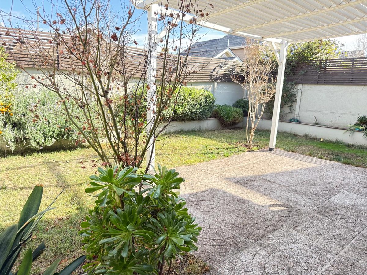 Patio trasero