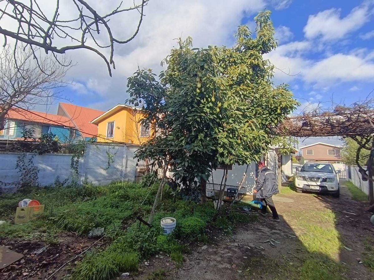 Foto 16