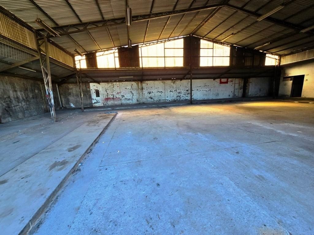 Foto 5