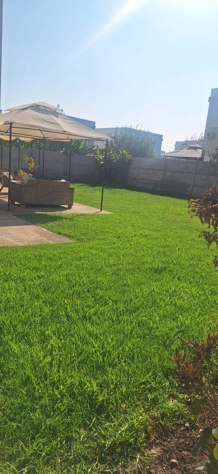 Patio - Terraza