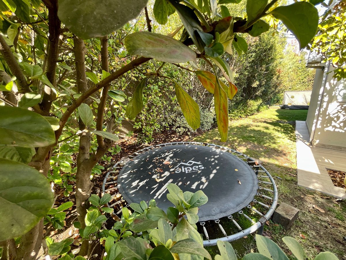 Foto 15