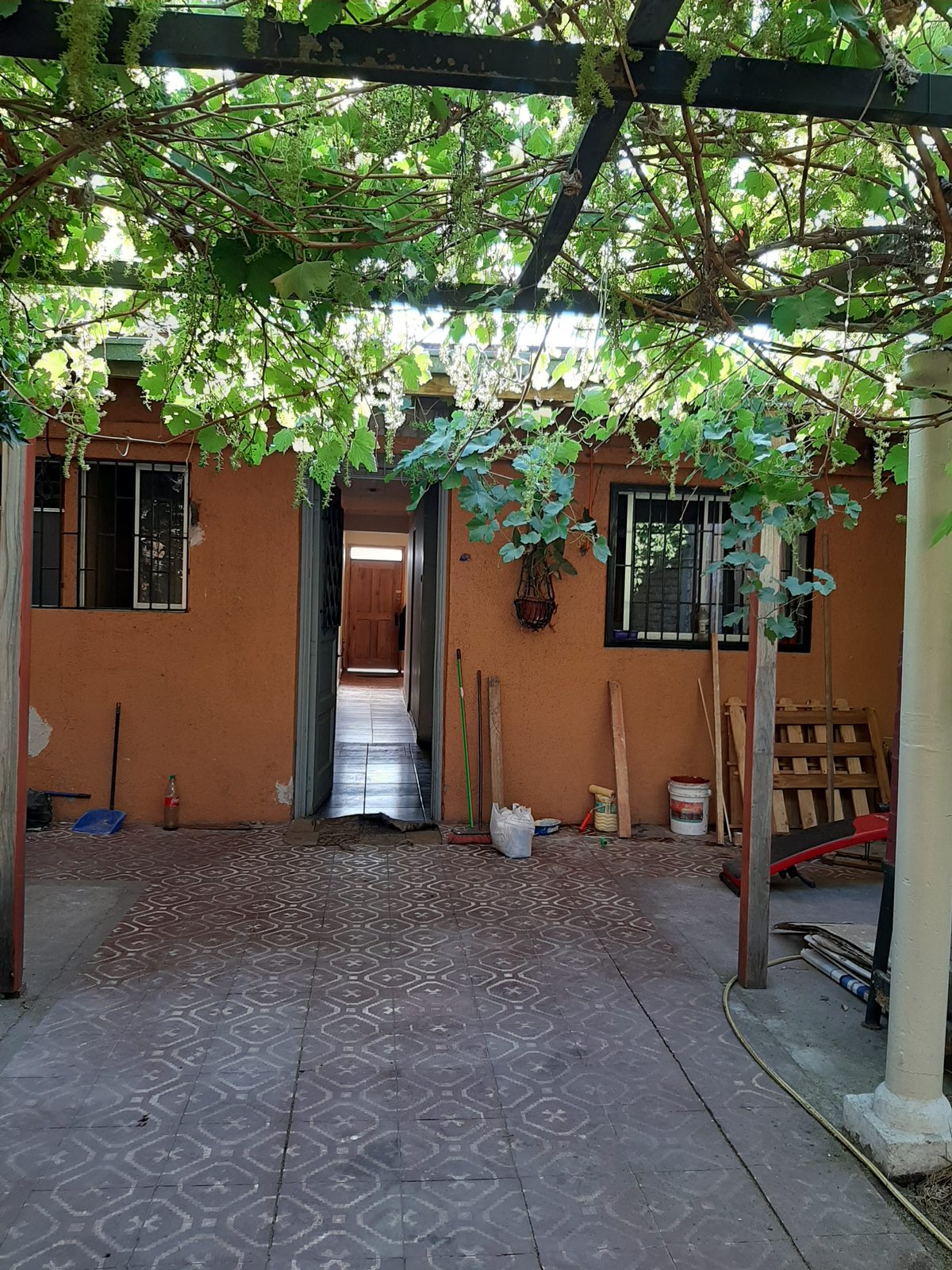 patio trasero