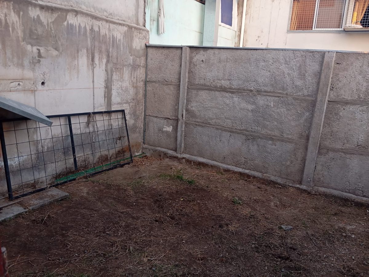 Patio trasero