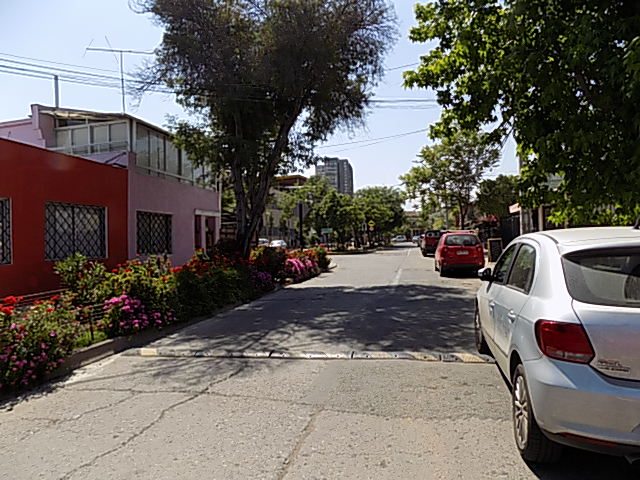 Calle Los Nidos oriente