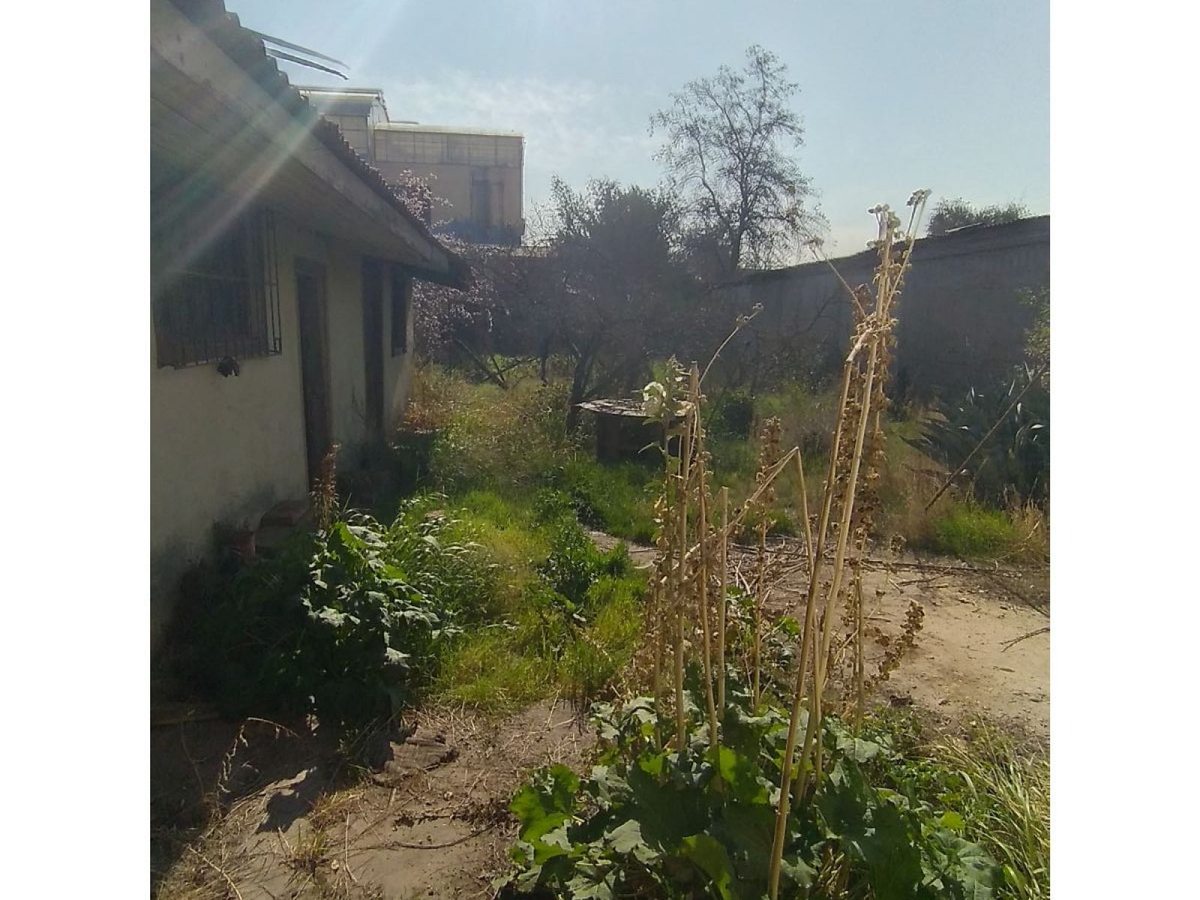 Foto 18