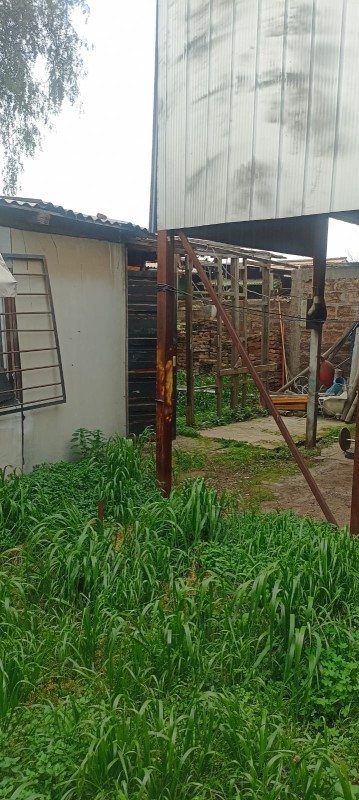 Foto 5