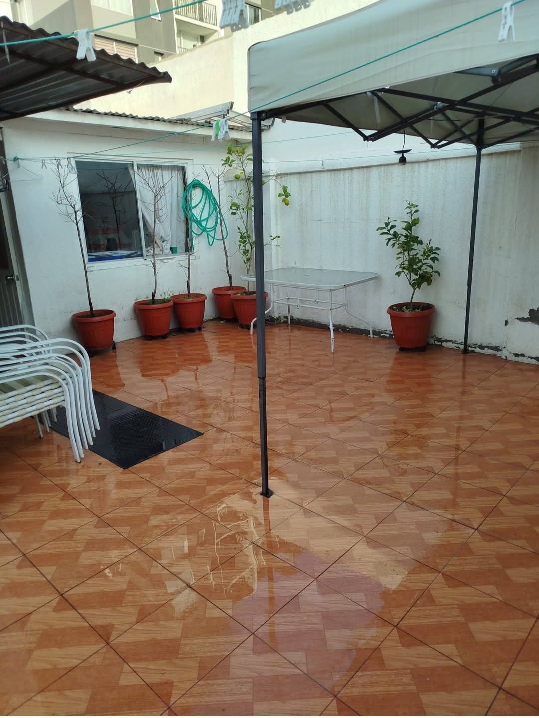 Foto 8