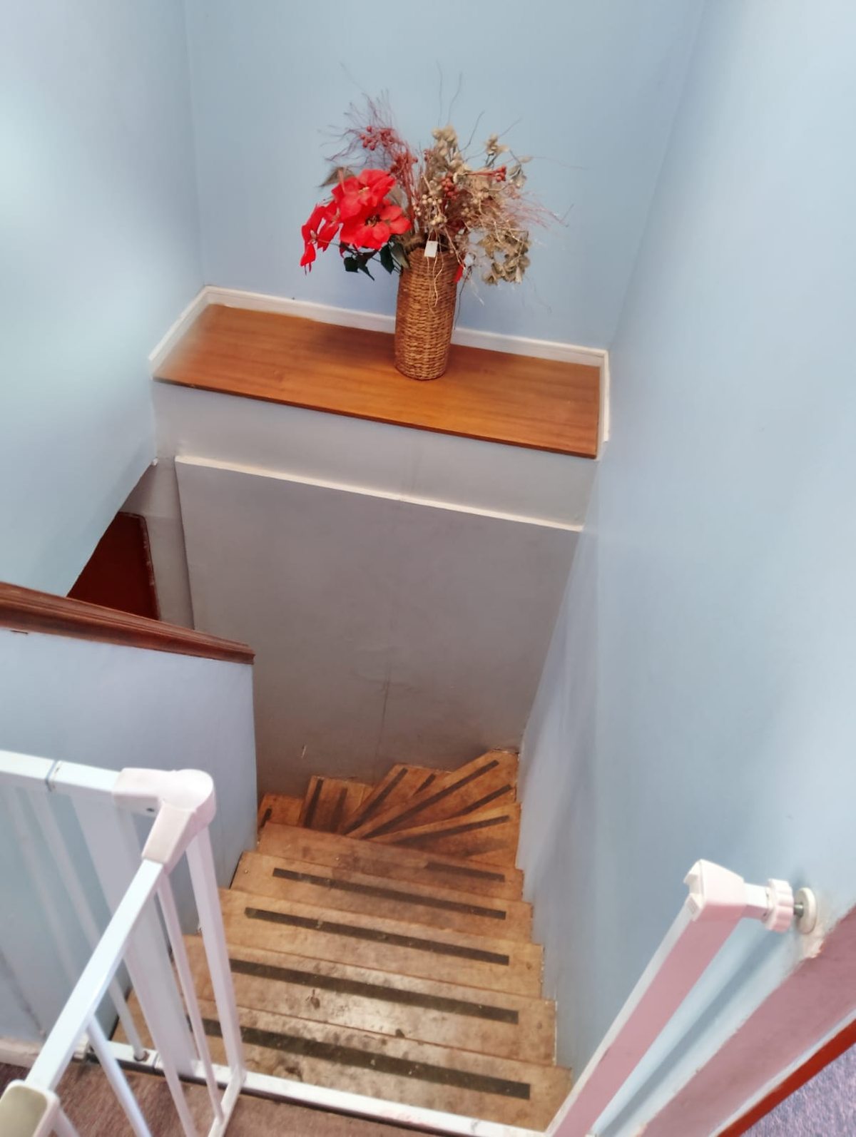 Foto 11
