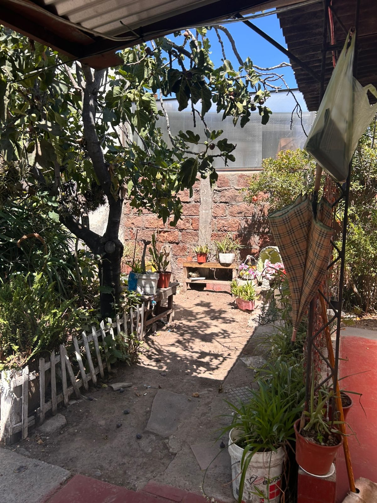 Foto 9