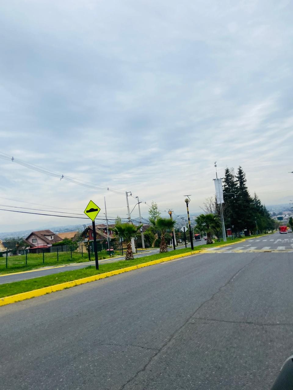 Alrededores - Cerro Panul