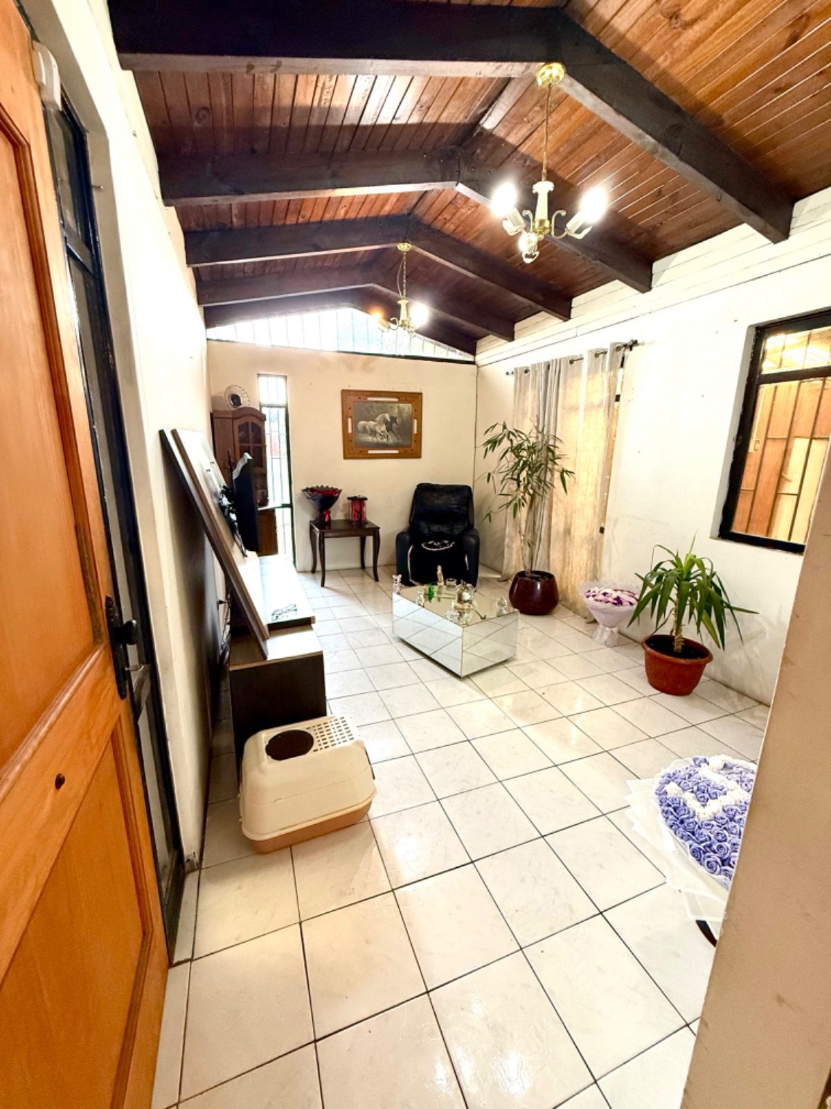Foto 7