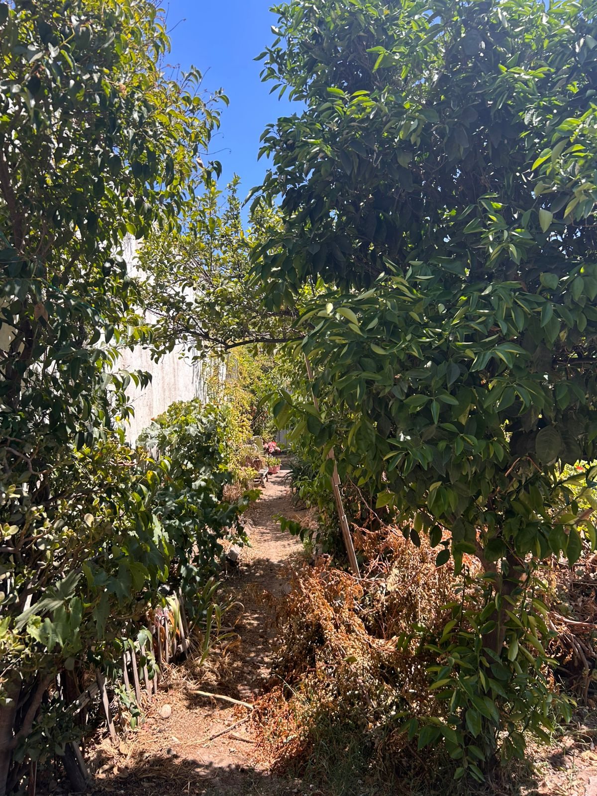 Foto 15