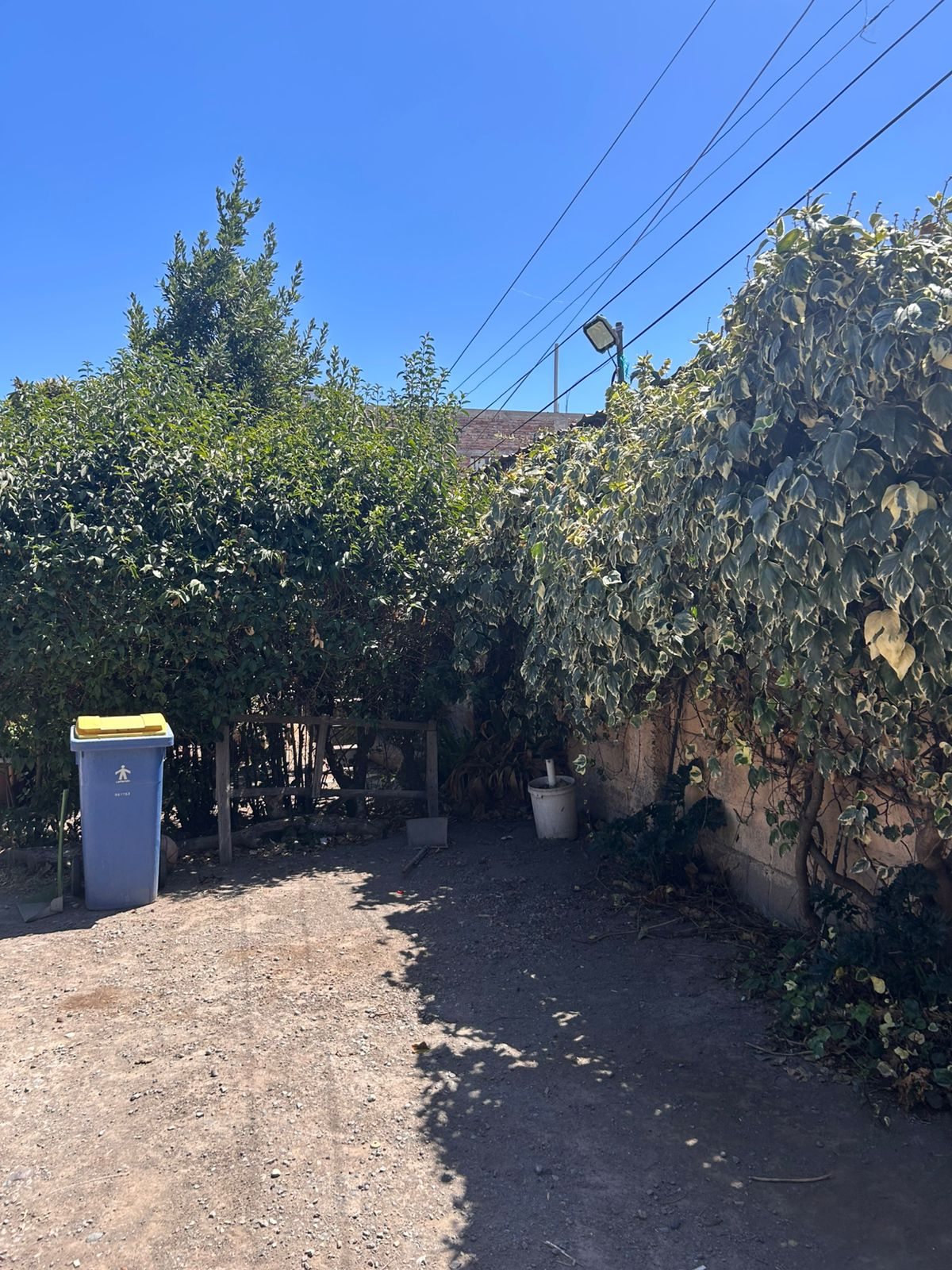 Foto 12