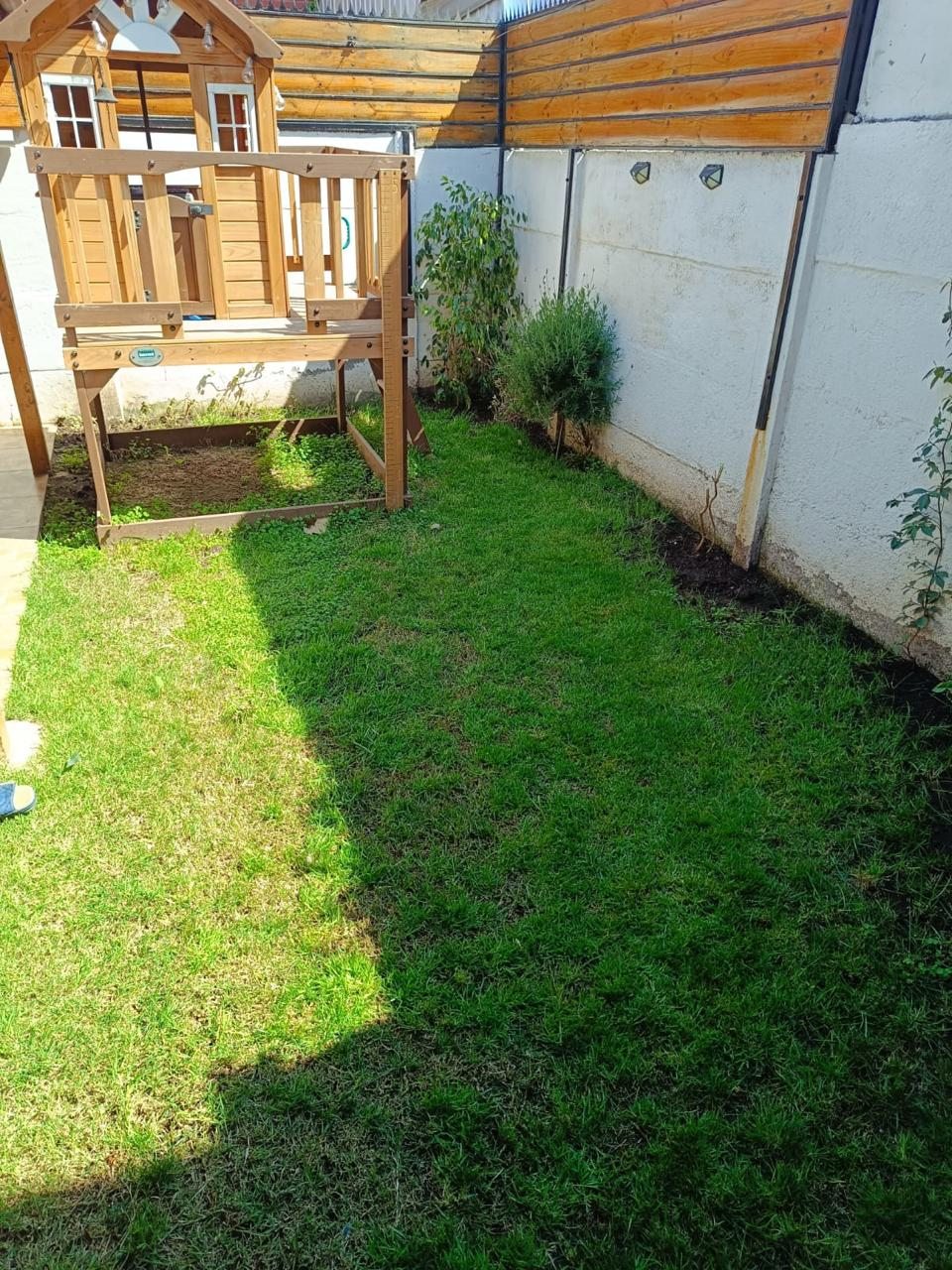 Patio trasero