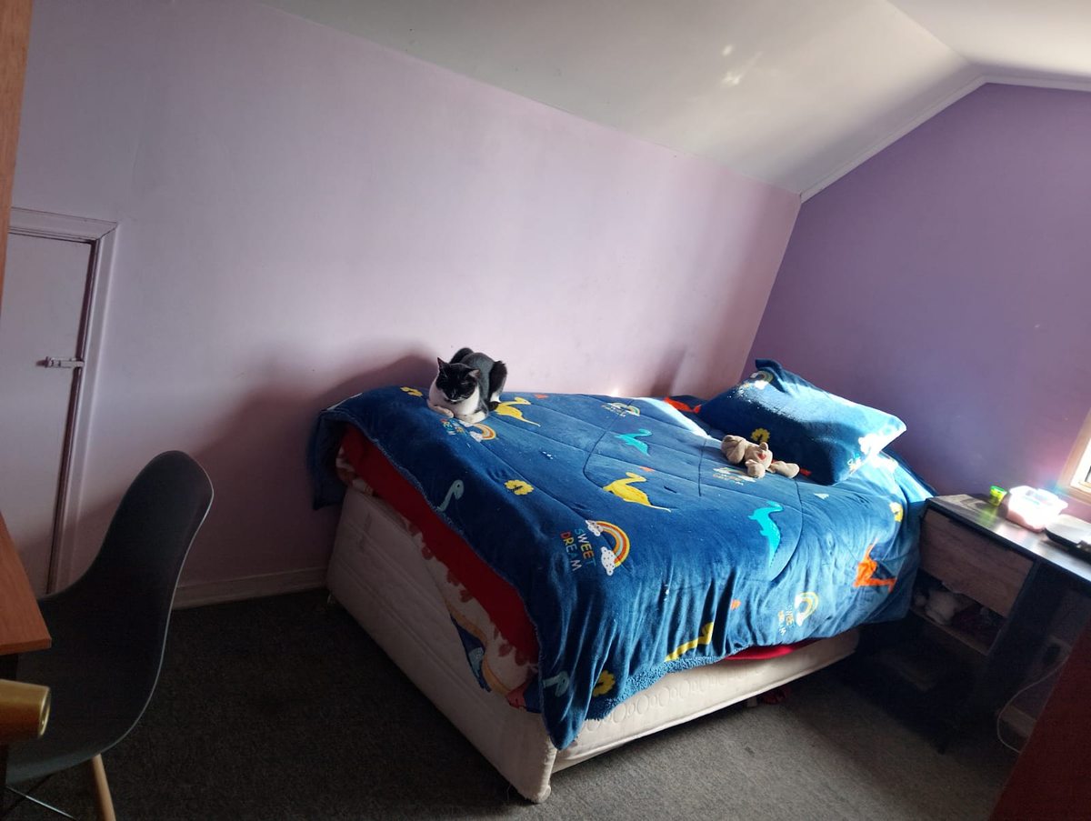 Foto 16