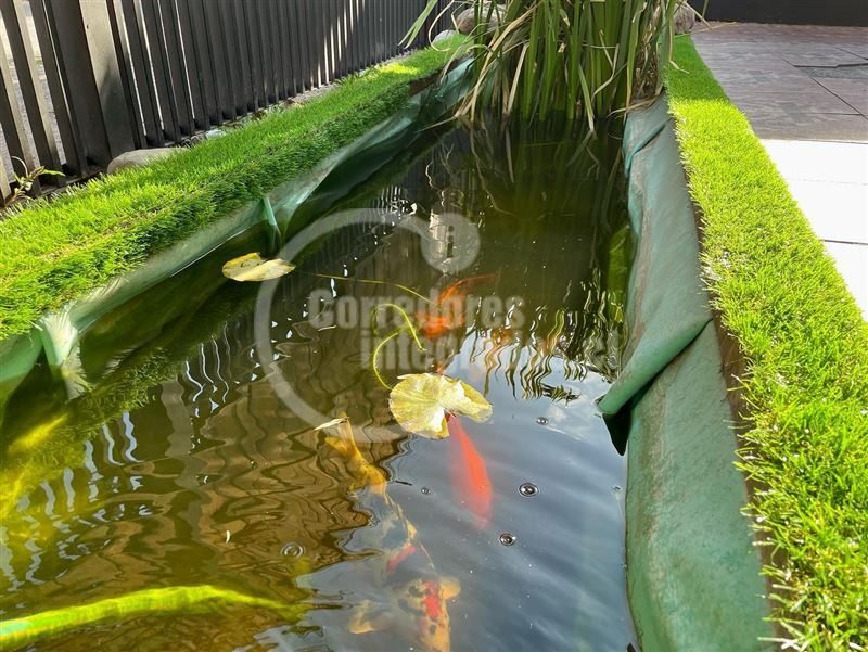 Foto 10