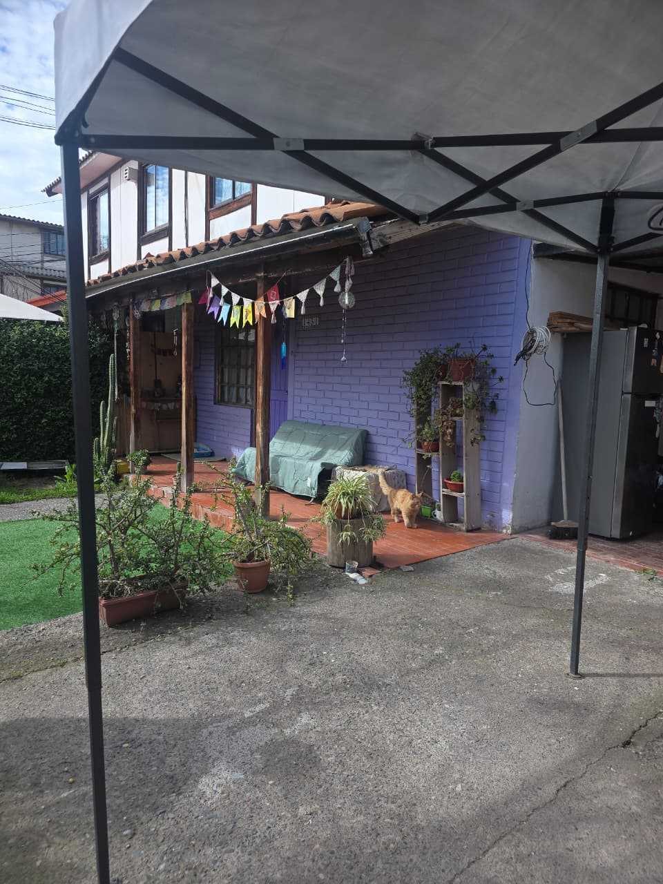 Foto 6