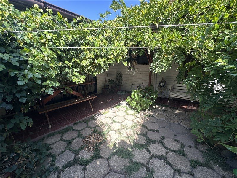 Foto 15