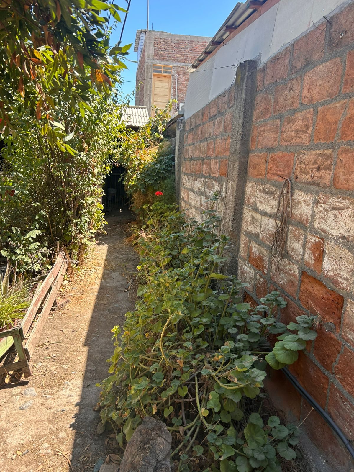 Foto 17