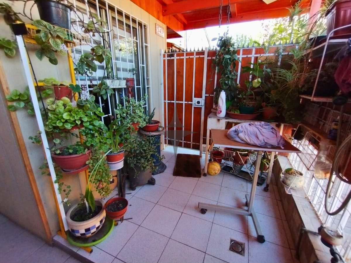 Foto 20