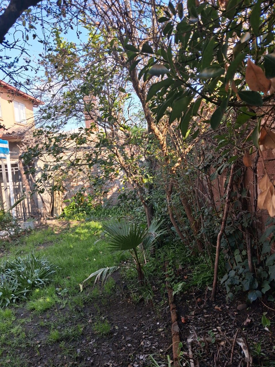 Foto 7