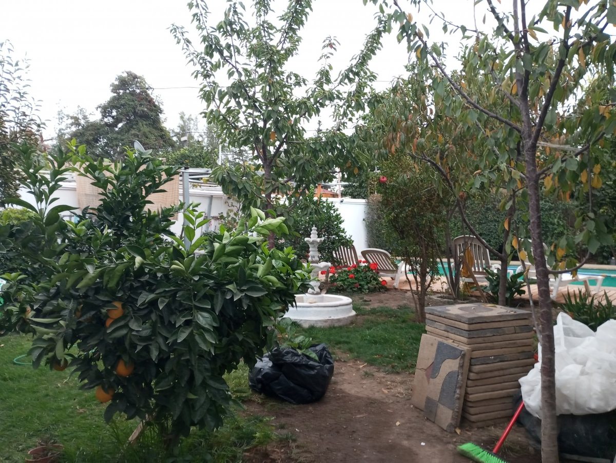 Foto 6