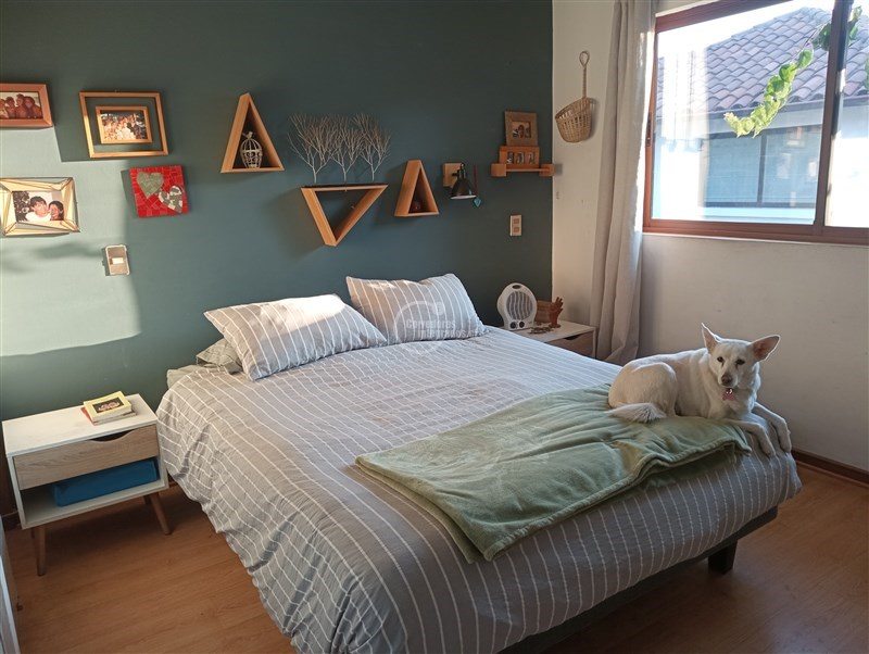 Foto 19