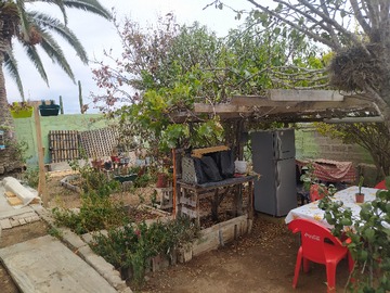Patio trasero
