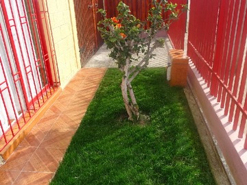 Areas verdes