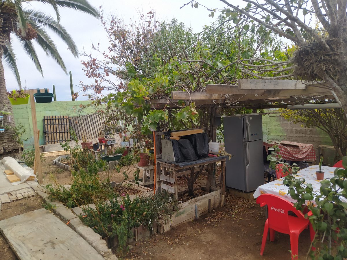 Patio trasero