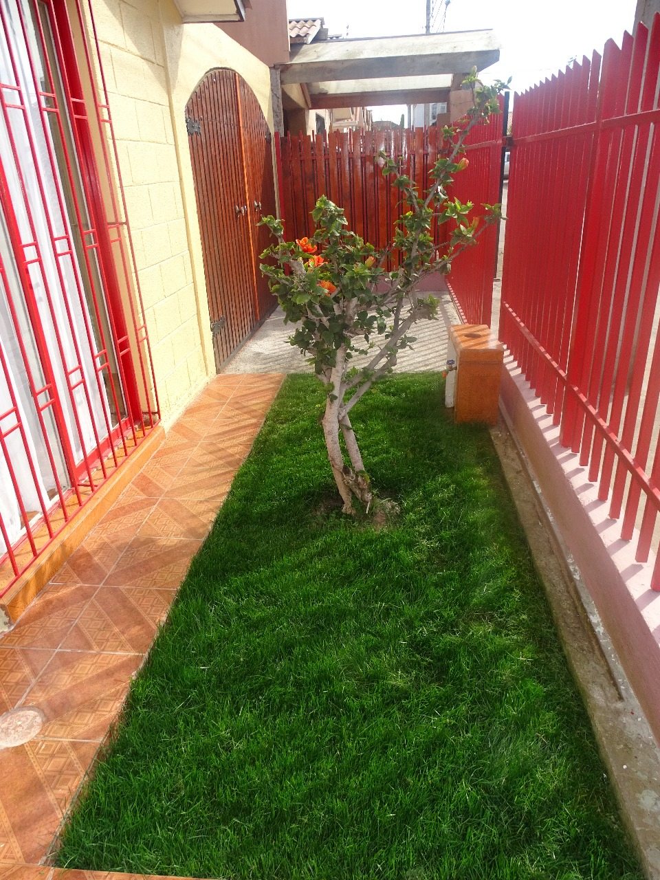 Areas verdes