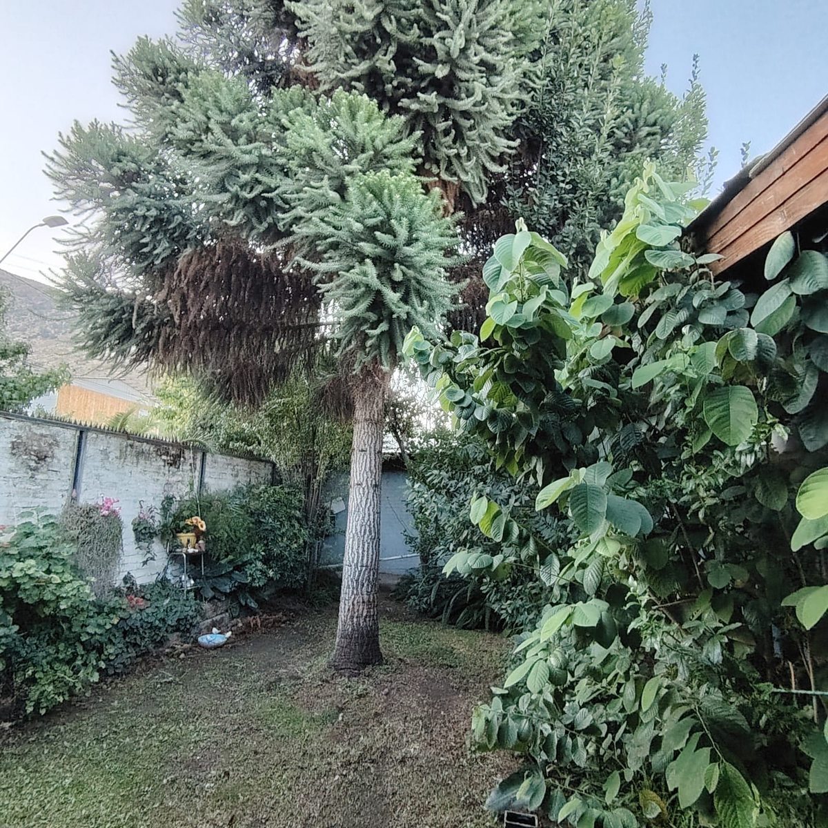 Sitio a la Venta Villa Manuel Plaza Propiedad Ubicada en Coelemu. (Casa)