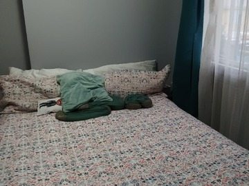 Foto 29
