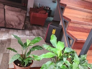 Foto 23