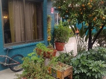 Foto 10