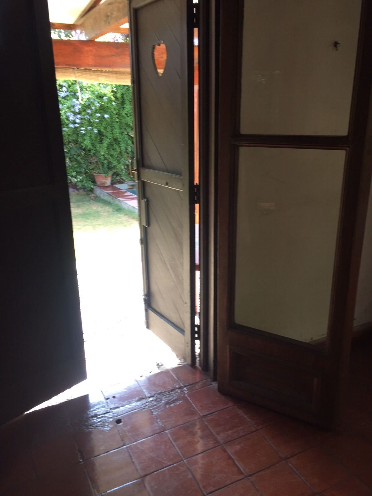 Foto 15