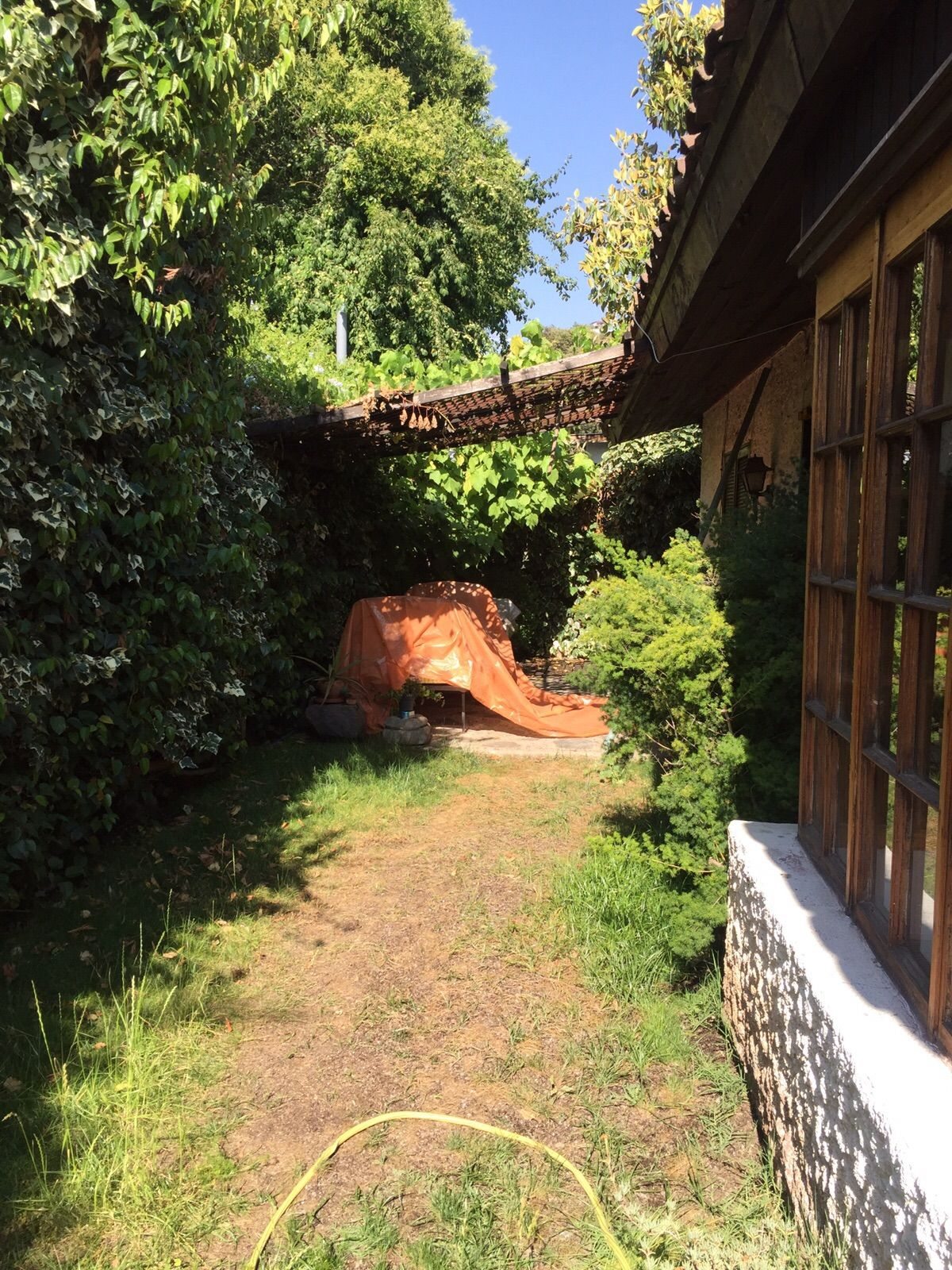 Foto 12