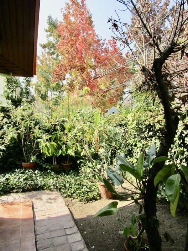Foto 23